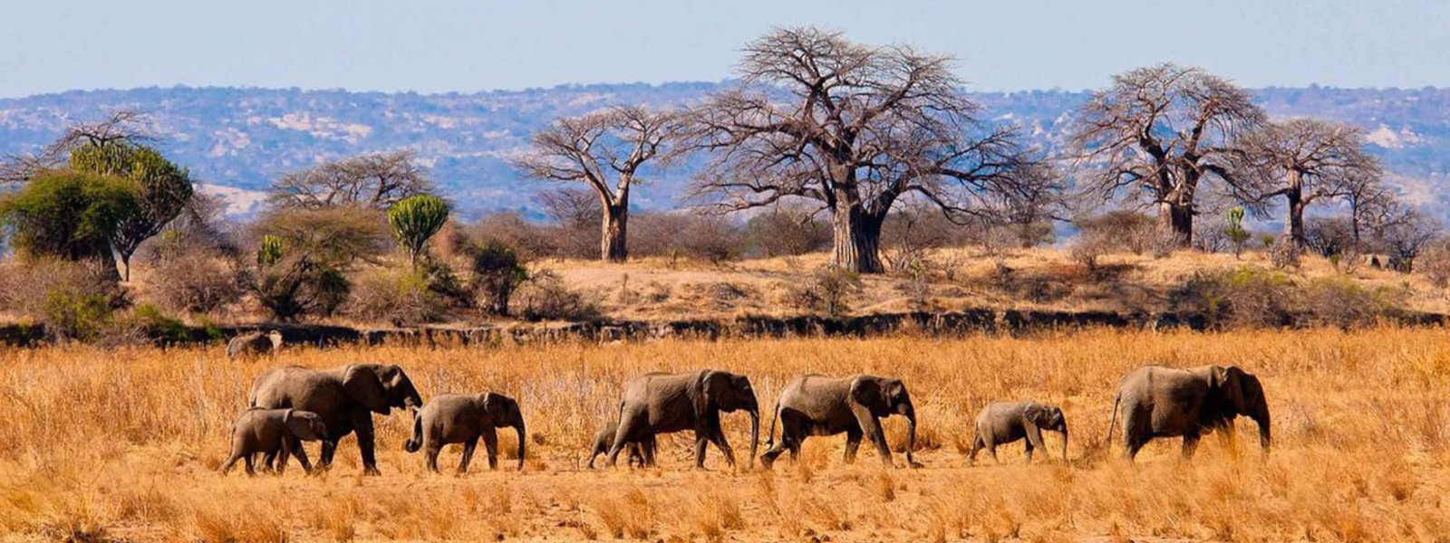 3-Days Best Tarangire National Park Tanzania Safari tour package